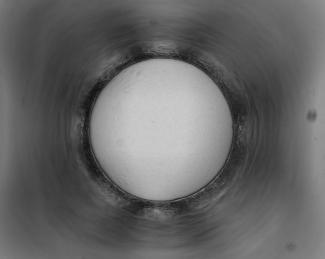 X0000101390739200807280937