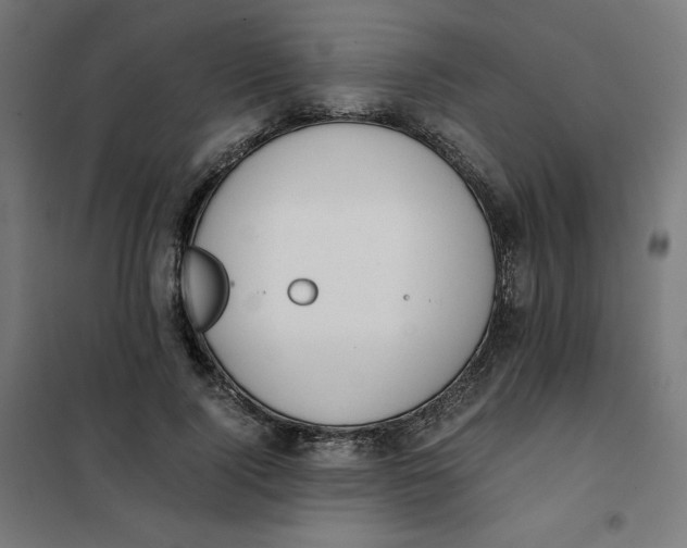 X0000101390740200807280937