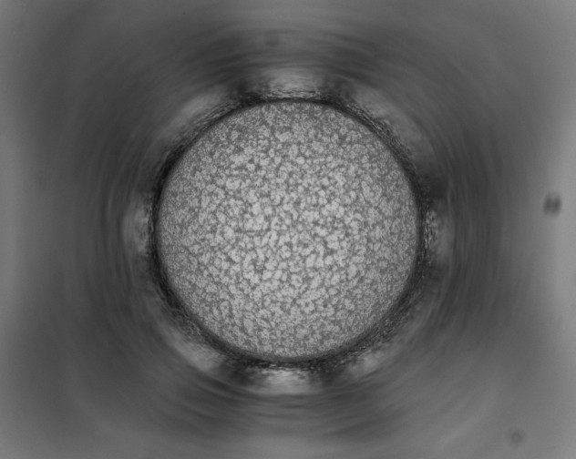X0000101390741200807280937