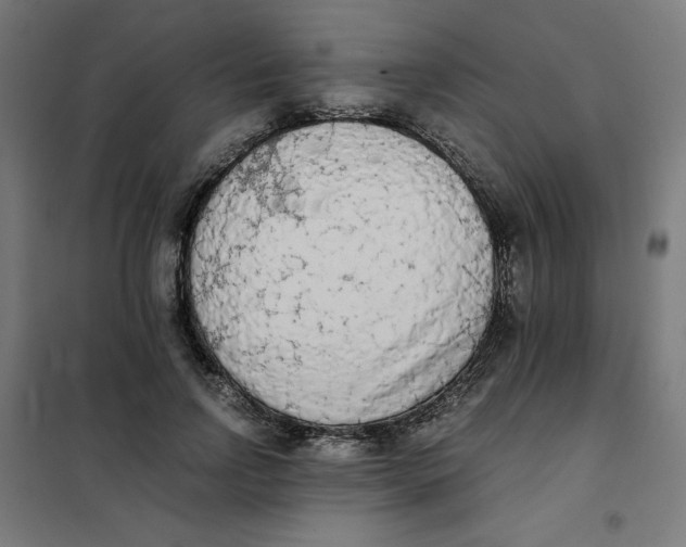 X0000101390742200807280937
