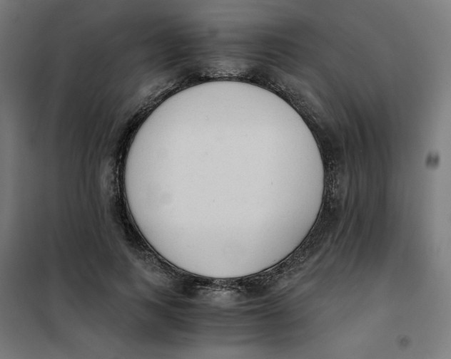 X0000101390743200807280937