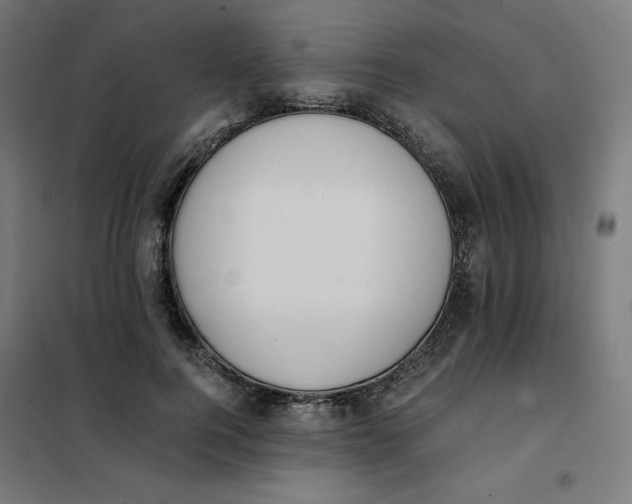 X0000101390744200807280937