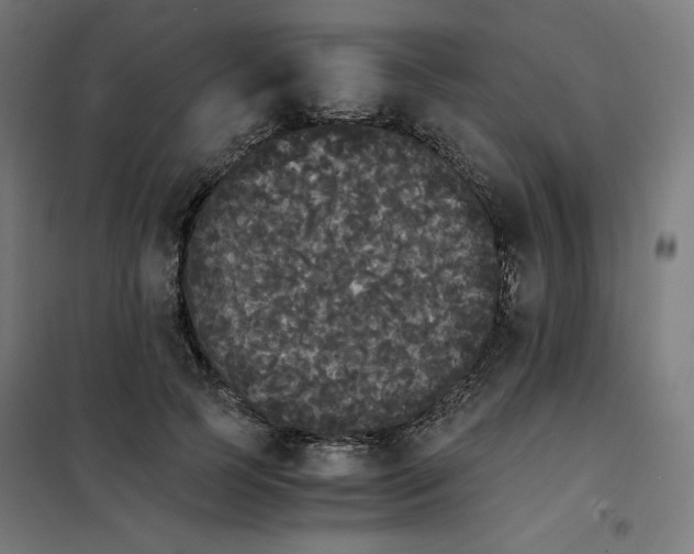X0000101390745200807280937