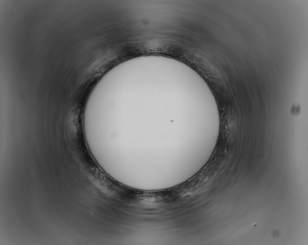 X0000101390746200807280937