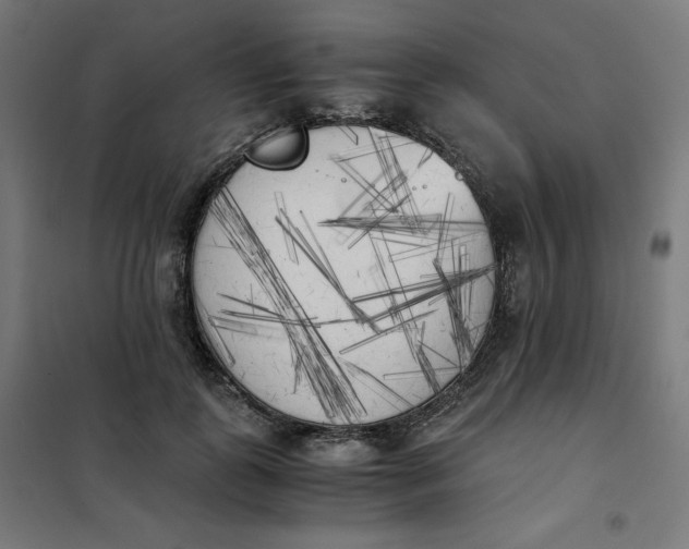 X0000101390747200807280937