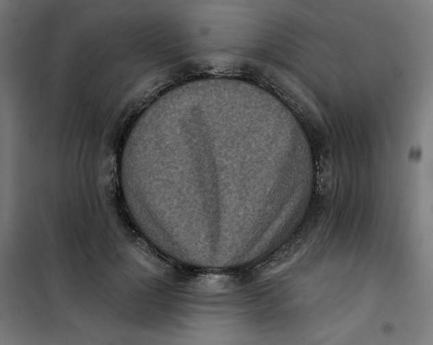 X0000101390748200807280937