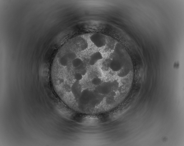 X0000101390749200807280937