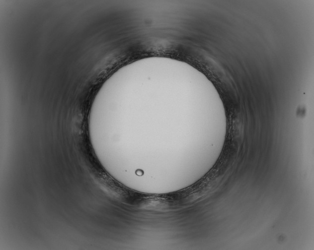 X0000101390750200807280937