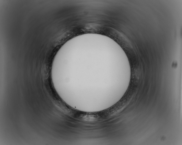 X0000101390751200807280937