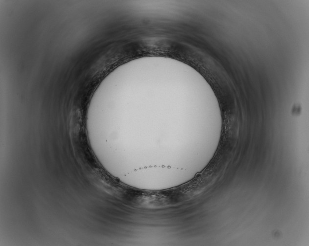 X0000101390752200807280937