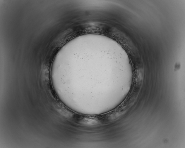 X0000101390753200807280937