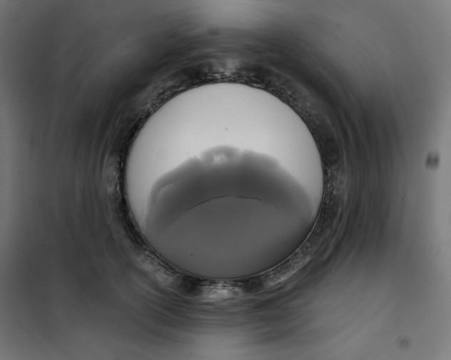 X0000101390754200807280937