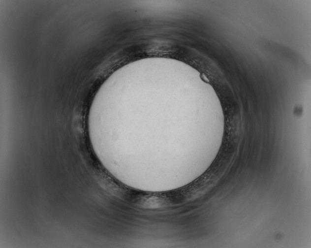 X0000101390755200807280937