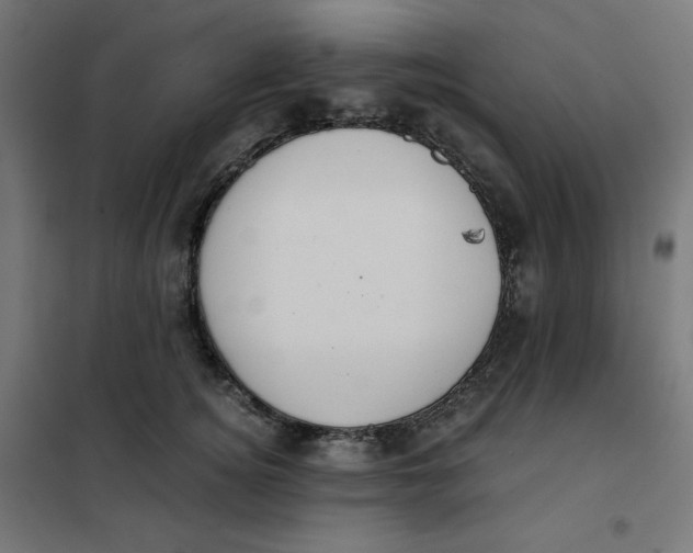 X0000101390756200807280938