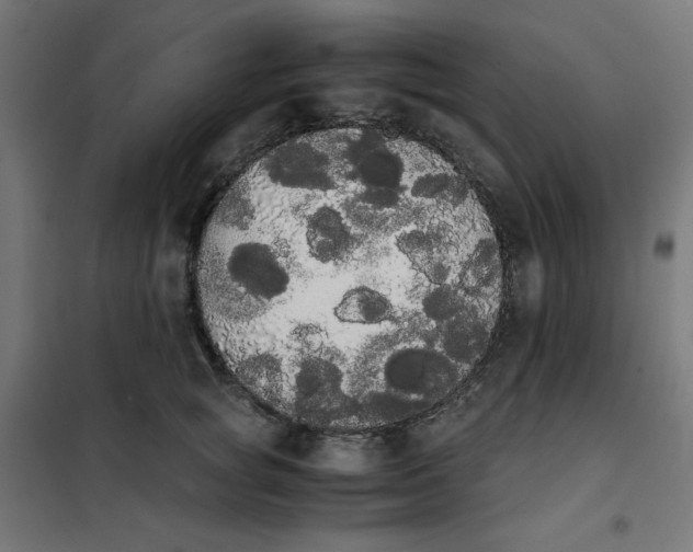 X0000101390757200807280938