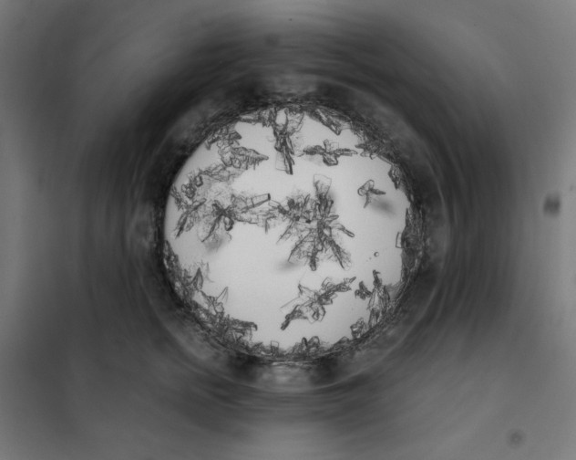 X0000101390758200807280938