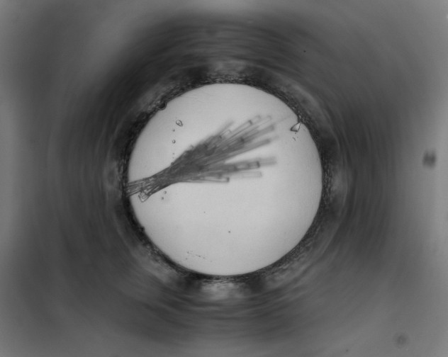 X0000101390759200807280938