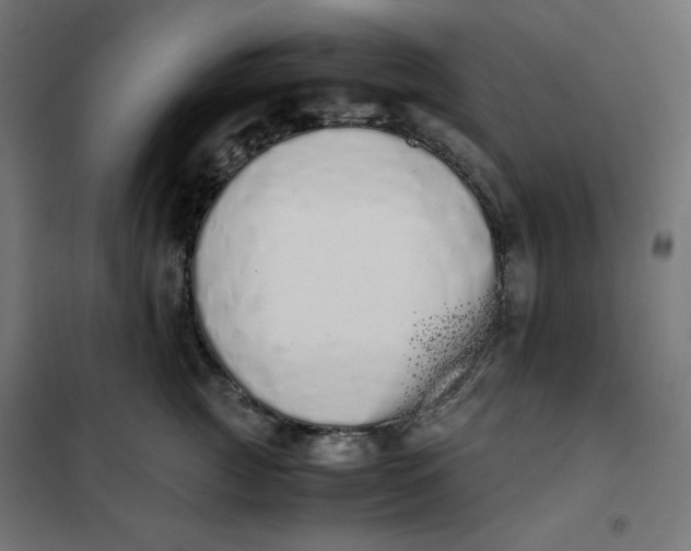 X0000101390761200807280938