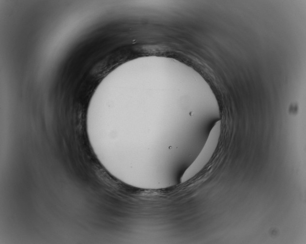 X0000101390762200807280938