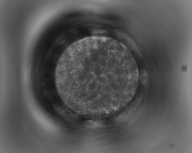 X0000101390763200807280938