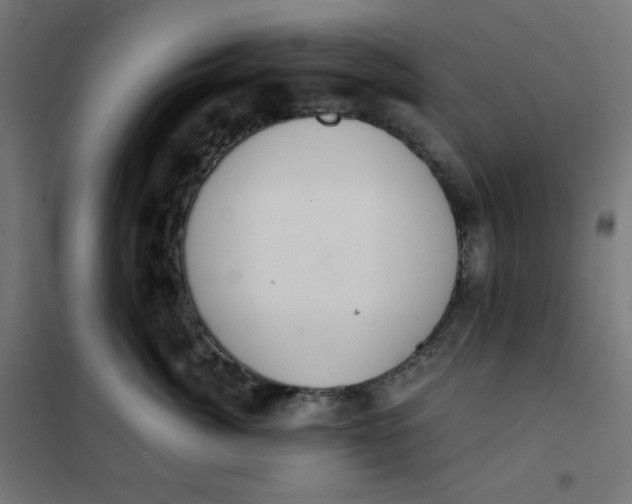 X0000101390764200807280938