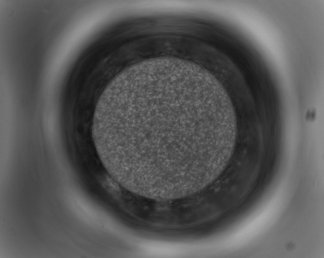 X0000101390766200807280938