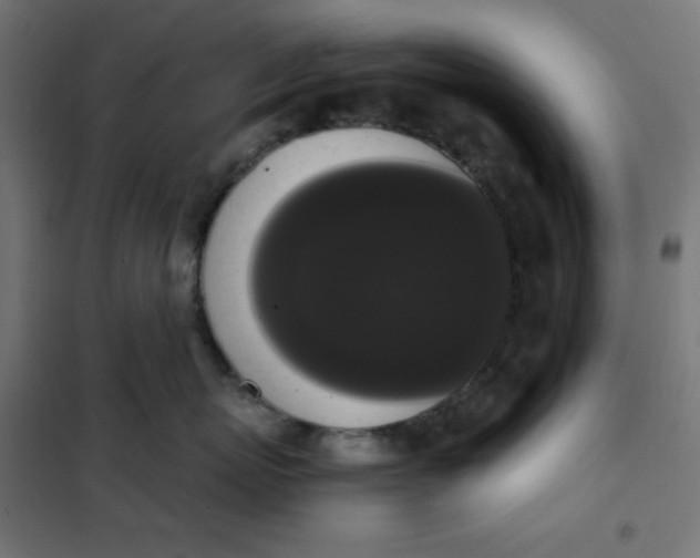 X0000101390767200807280938