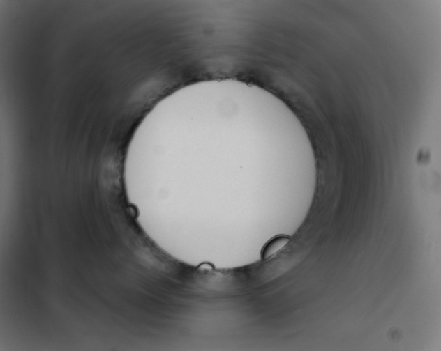 X0000101390768200807280938
