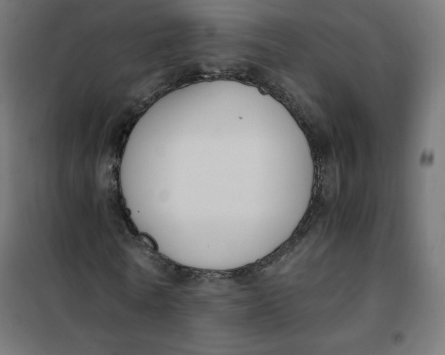 X0000101390770200807280937
