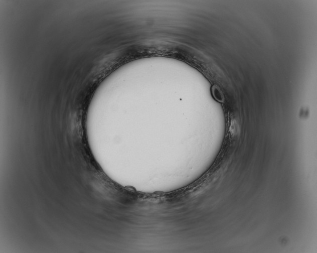 X0000101390771200807280937