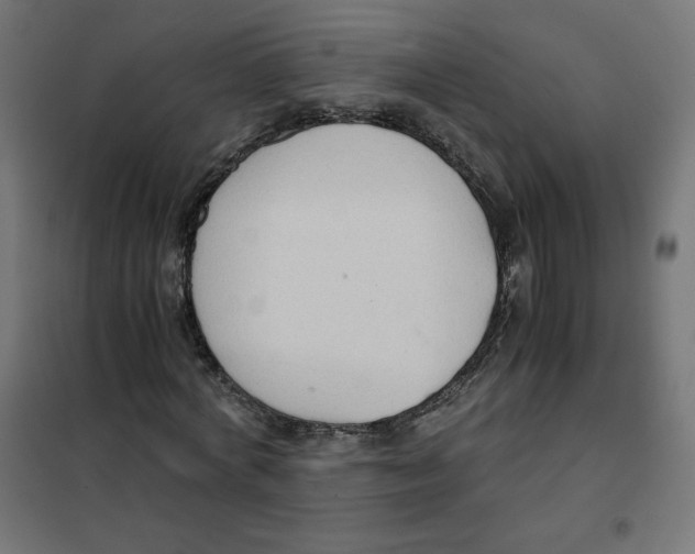 X0000101390772200807280937