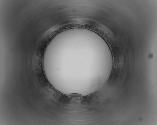 X0000101390773200807280937