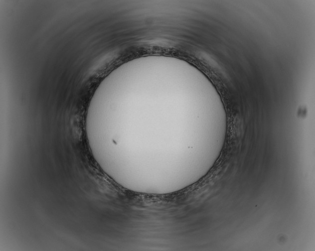 X0000101390774200807280937