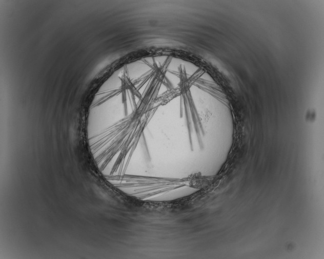 X0000101390775200807280937