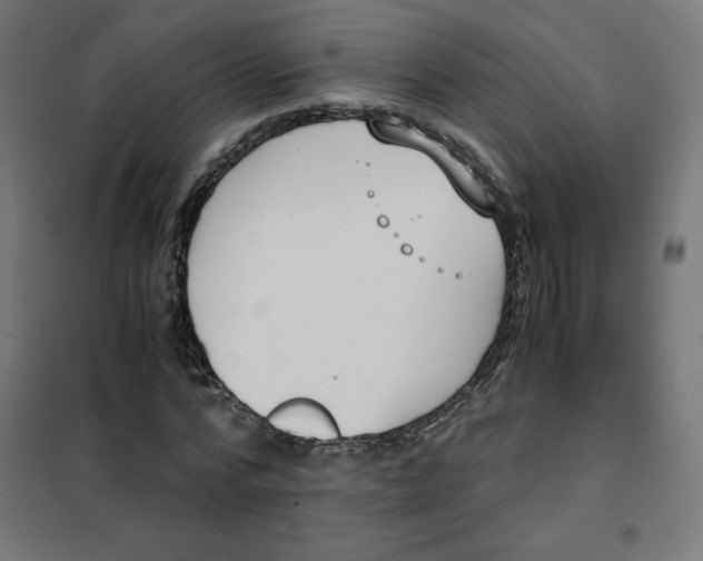 X0000101390776200807280937