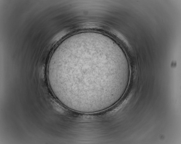 X0000101390777200807280937