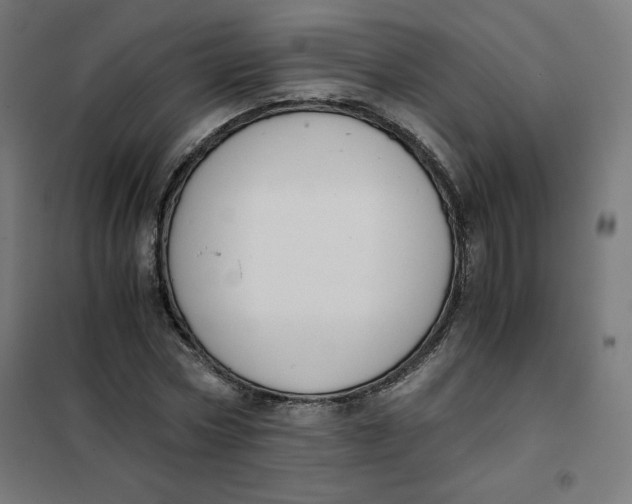 X0000101390778200807280937