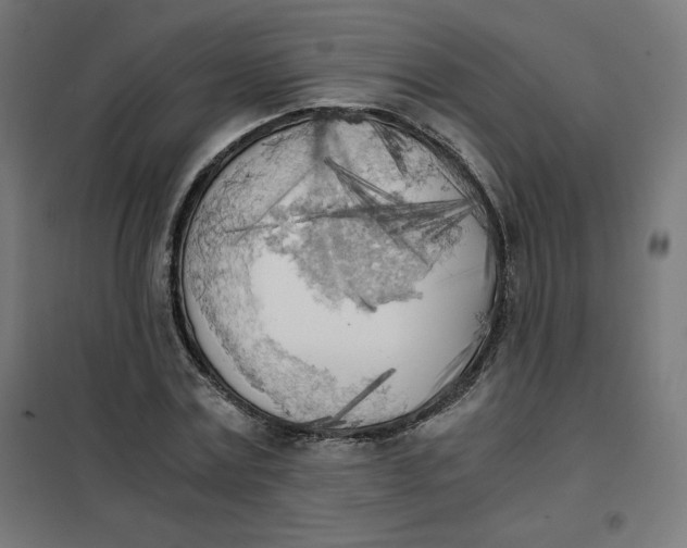 X0000101390779200807280937