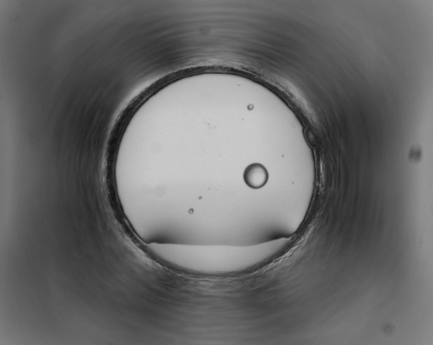X0000101390780200807280937
