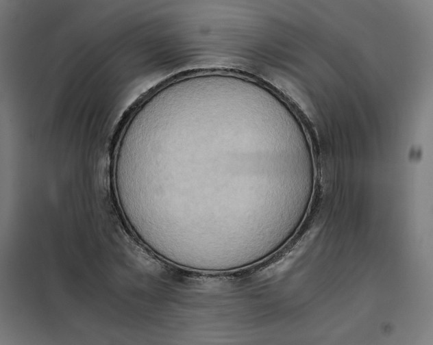 X0000101390781200807280937
