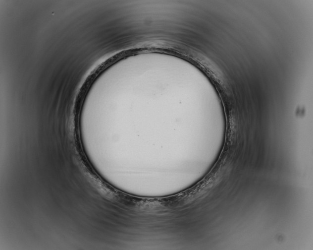 X0000101390784200807280937