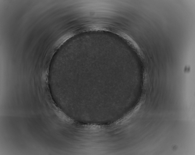 X0000101390785200807280937