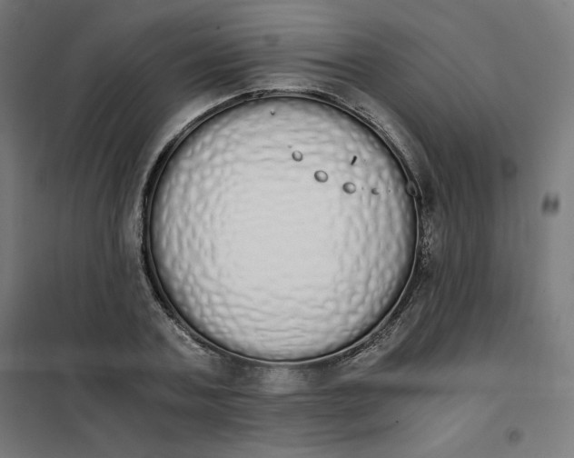 X0000101390787200807280937