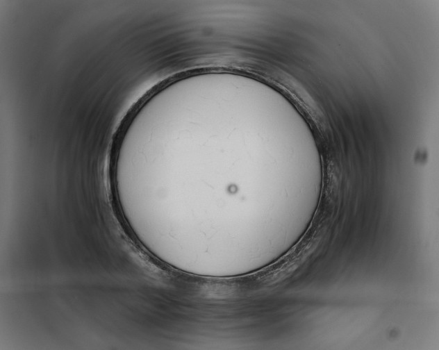 X0000101390788200807280937