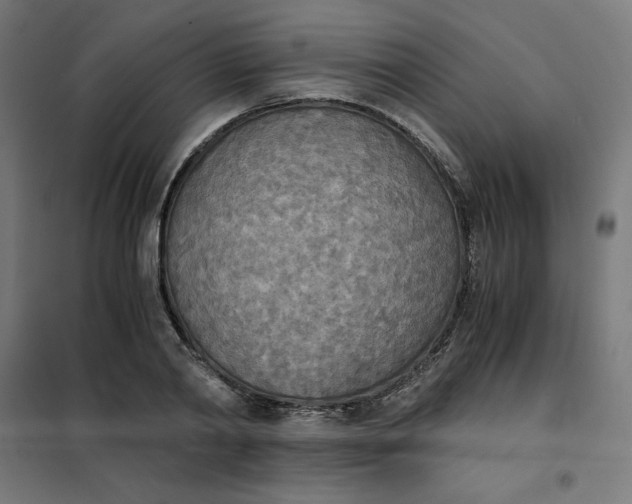 X0000101390790200807280937
