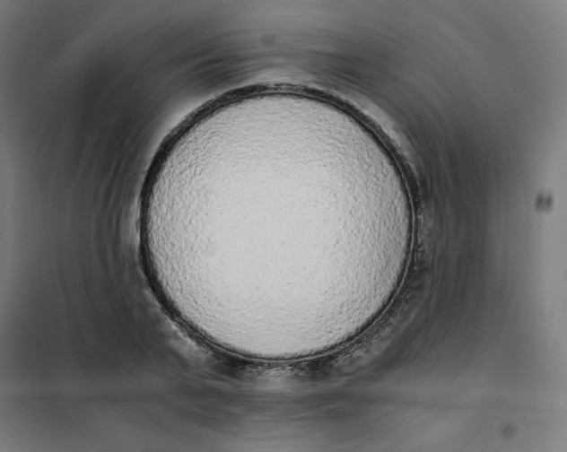 X0000101390791200807280937