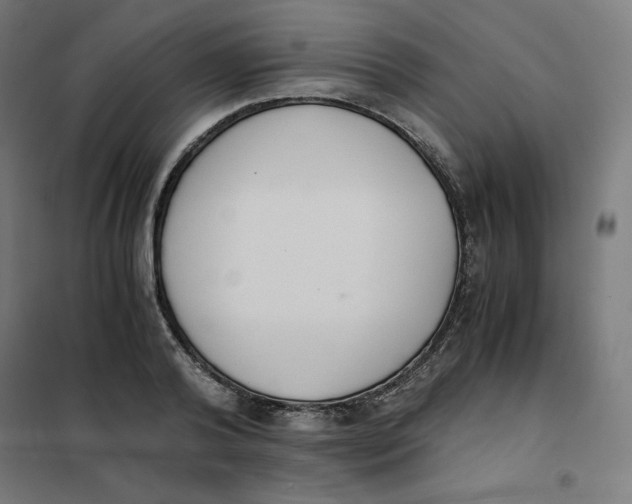 X0000101390792200807280937