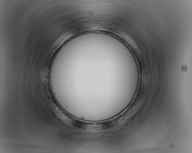 X0000101390793200807280937