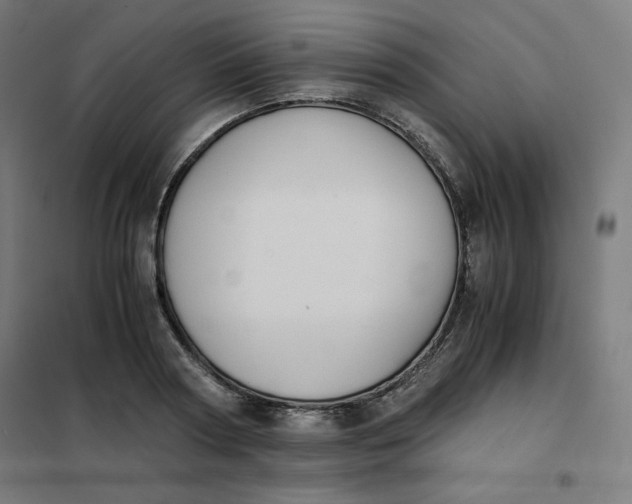 X0000101390794200807280937