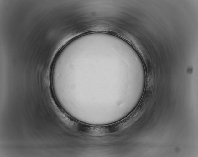 X0000101390795200807280936